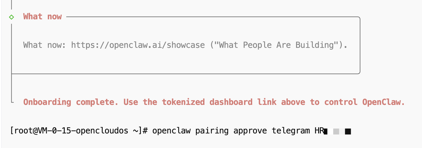 服务器中执行 Telegram pairing approve